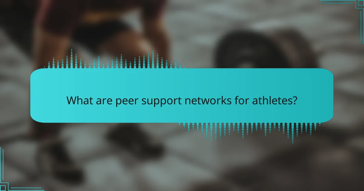 What are peer support networks for athletes?